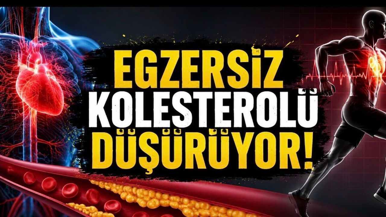 Egzersiz Kolesterolü Düşürür mü? Uzmanlardan Kalp Sağlığı İçin Kritik Uyarı