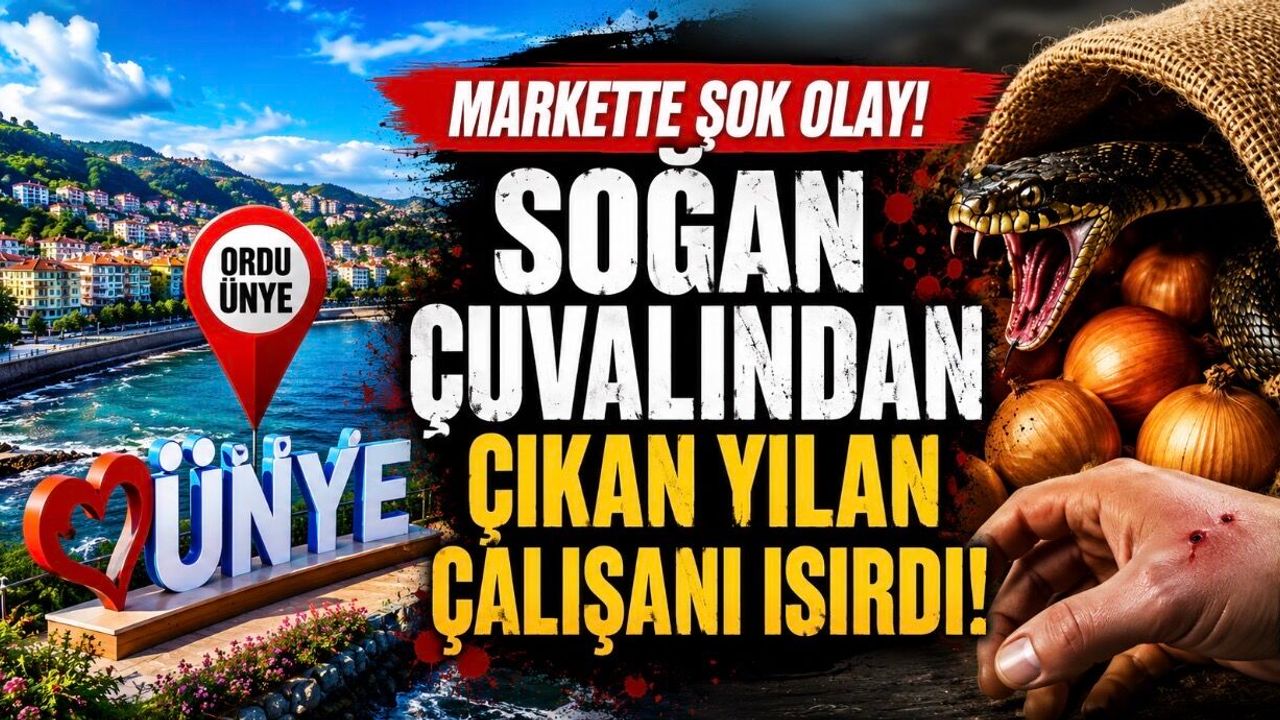 Markette Soğan Çuvalından Çıkan Yılan Çalışanı Isırdı