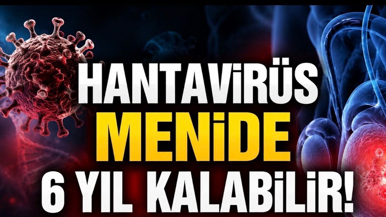 Hantavirüs İçin Yeni Uyarı: Virüs Menide Yıllarca Kalabilir