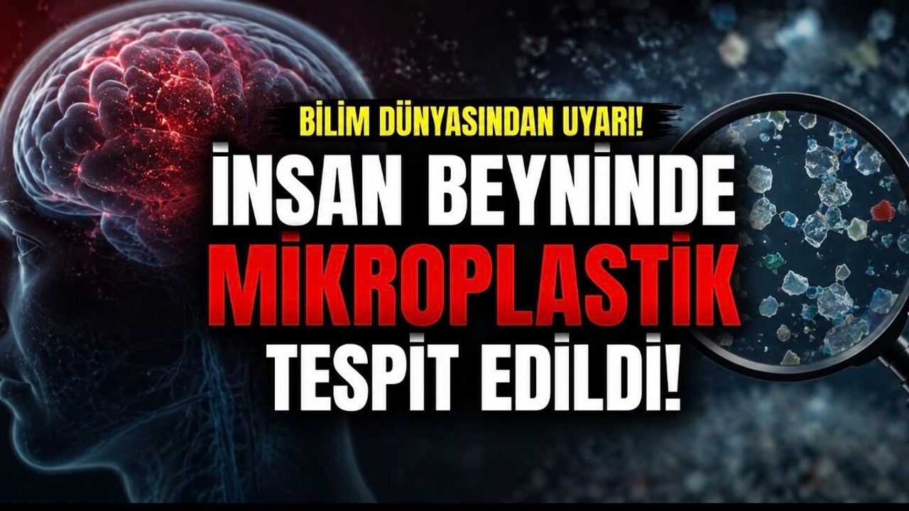 İnsan beyninde mikroplastik alarmı: Demans hastalarında daha yüksek seviyeler bulundu
