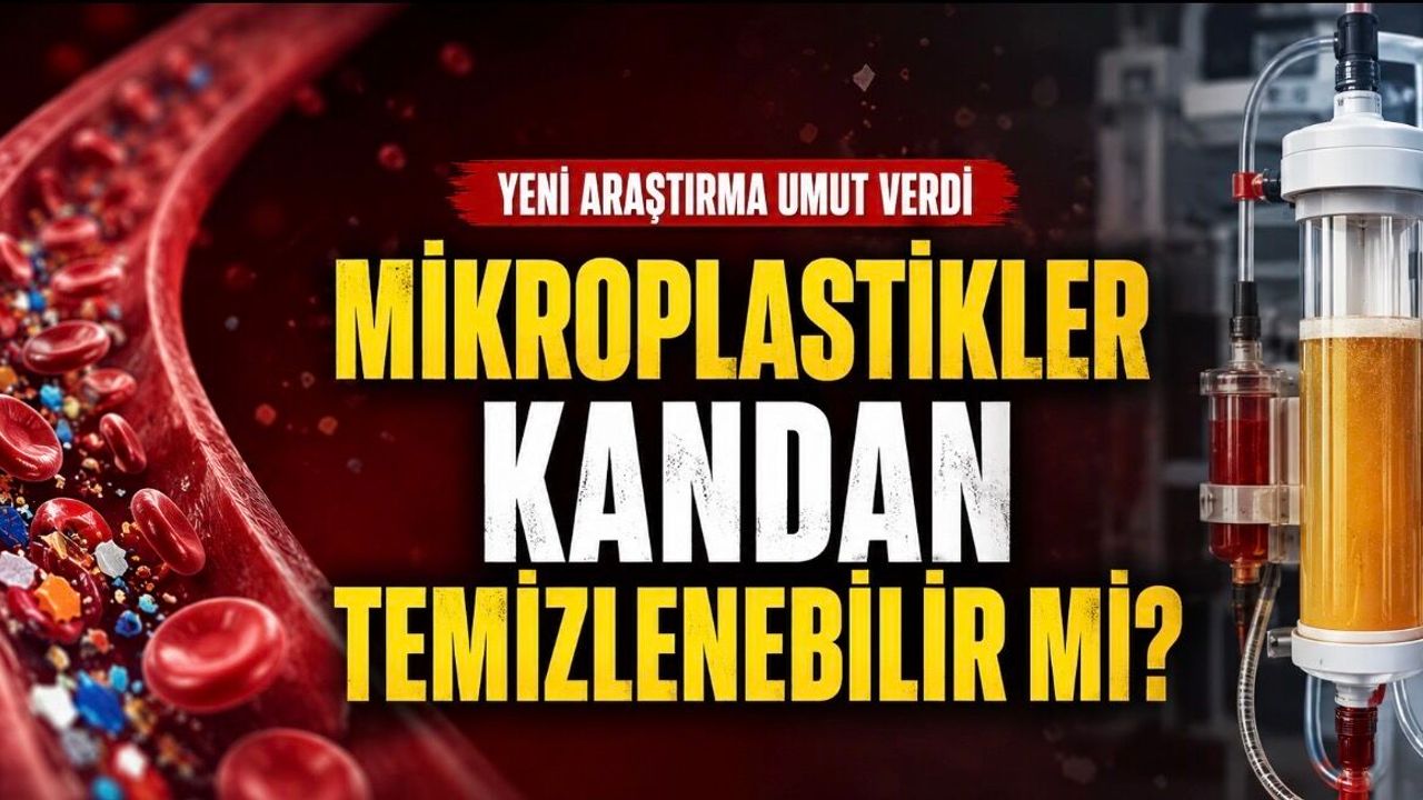 Mikroplastikler Kandan Temizlenebilir mi? Yeni Çalışma Umut 
