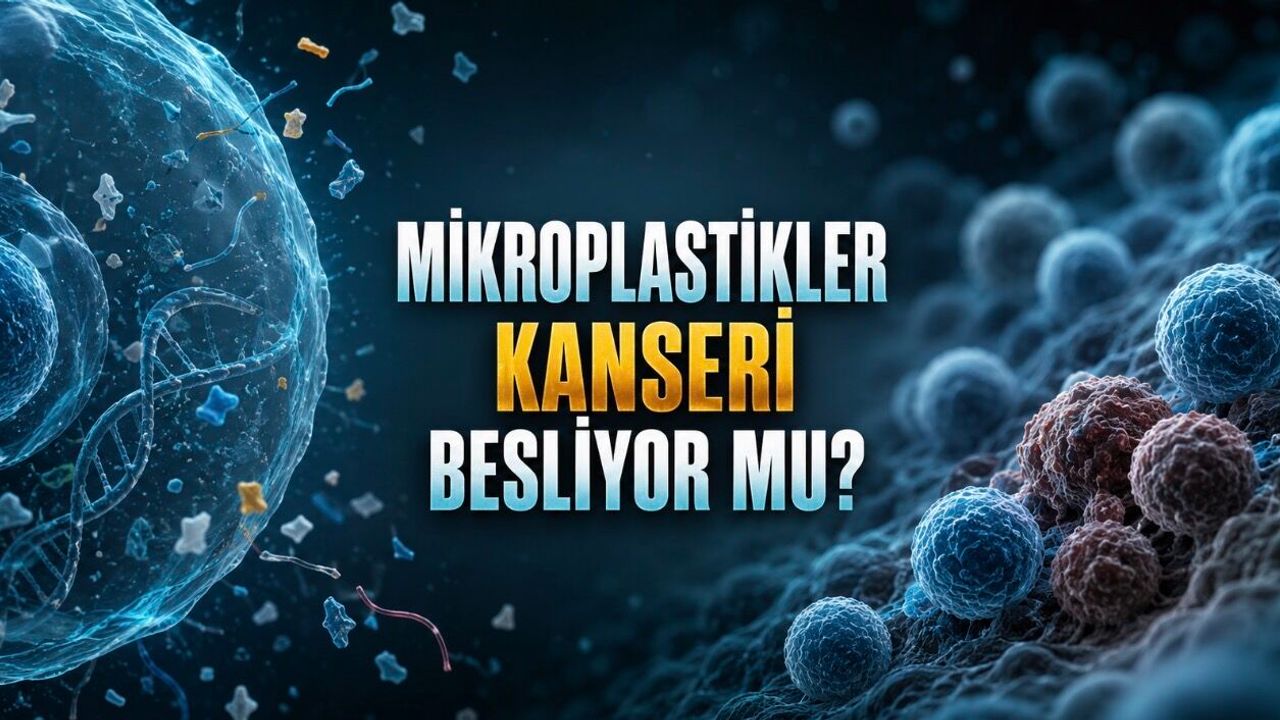Yediğimiz, içtiğimiz ve soluduğumuz mikroplastikler kanser riskini artırıyor mu?