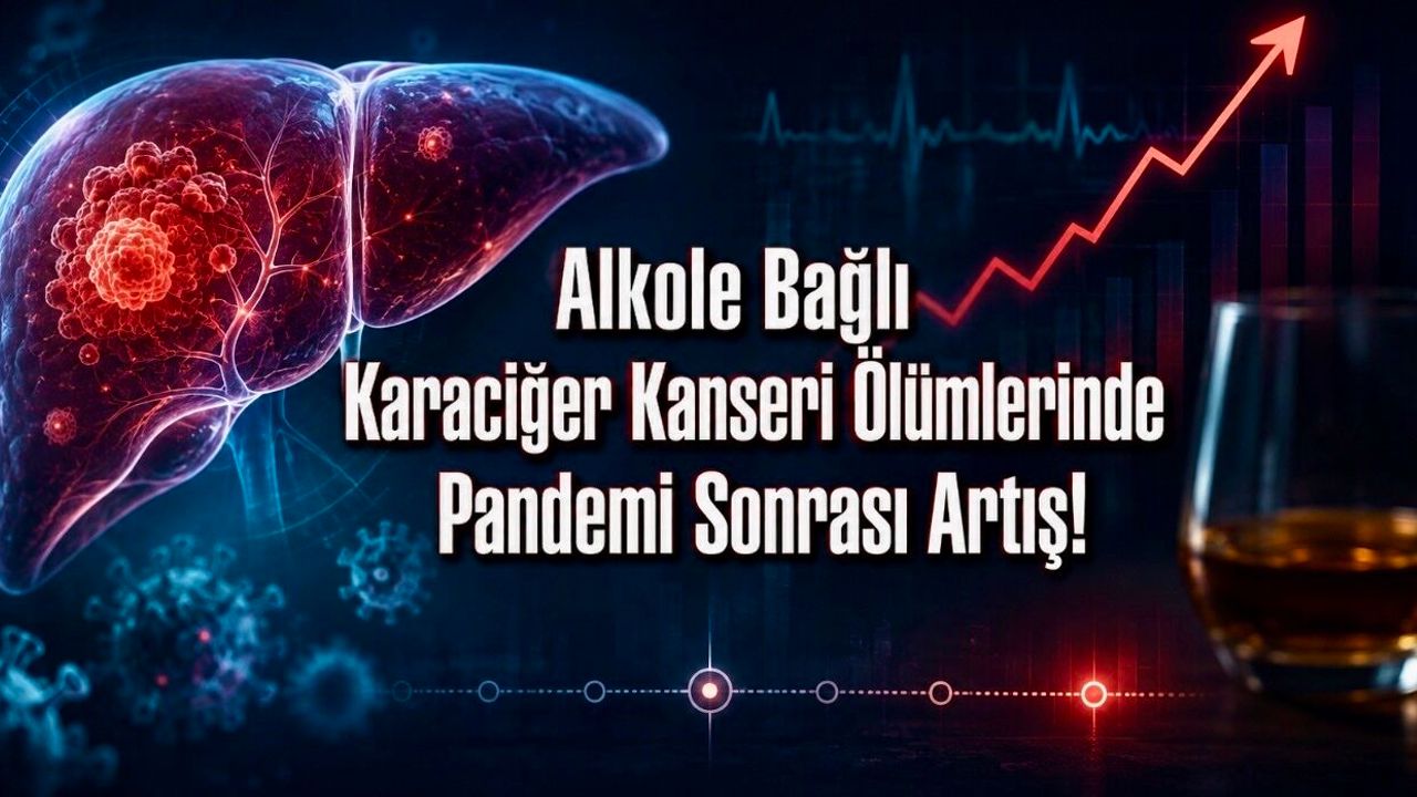 Alkole Bağlı Karaciğer Kanseri Ölümlerinde Pandemi Kırılması