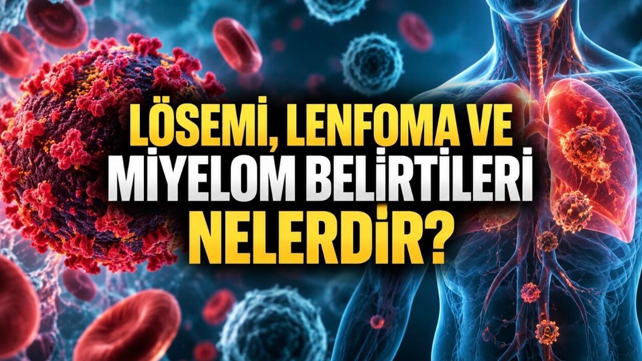 Lösemi, Lenfoma ve Miyelom Belirtileri Nelerdir? Kan Kanseri Rehberi
