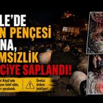 Görele’de Ayı Yine Ağıla İndi: Üretici Önlem Bekliyor