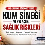 Yaz Aylarının Görünmez Tehdidi: Kum Sineği ve Yol Açtığı Sağlık Riskleri