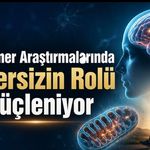 Alzheimer Araştırmalarında Egzersizin Rolü Güçleniyor