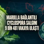 Marul ile Bağlantılı Cyclospora Salgını 9 Bin 481 Vakaya Ulaştı