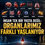 İnsan Tek Bir Yaşta Değil: Organlarımız Farklı Yaşlanıyor