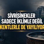 Sivrisinek Kaynaklı Salgınlara Karşı Yeni Ders: Kent Yapısı Önemli
