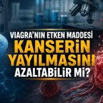 Viagra’nın Etken Maddesi Kanserin Yayılmasını Yavaşlatabilir mi? Yeni Araştırmadan Dikkat Çeken Bulgular