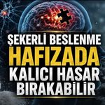 Şekerli Beslenme Hafızada Kalıcı Hasar Bırakabilir