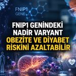 Nature: Nadir FNIP1 gen varyantı metabolik hastalık riskinde koruyucu etkiyle ilişkilendirildi