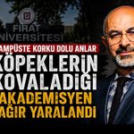 Fırat Üniversitesi’nde köpeklerin kovaladığı akademisyen ağır yaralandı
