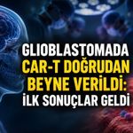 Glioblastomada Yeni Umut: CAR-T Hücreleri Tümöre Yakından Ulaştırıldı
