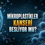 Yediğimiz, içtiğimiz ve soluduğumuz mikroplastikler kanser riskini artırıyor mu?