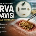 Savaş Meydanlarında Fark Edildi, Modern Tıbba Döndü: Larvalarla Yara Tedavisi