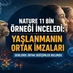 Nature 11 Bin Örneği İnceledi: Yaşlanmanın Ortak İmzaları