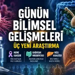 Günün Bilimsel Gelişmeleri: Kanser, Bağırsak ve Yağlı Karaciğerde Üç Yeni Araştırma