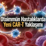 CAR-T Hücreleri Hastanın Vücudunda Üretildi: 16 Hastadan İlk İnsan Verileri