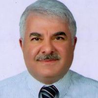 Prof. Dr. Mehmet Cengiz YAKINCI