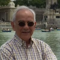 Prof. Dr. Sabri Sayarı Kimdir?