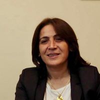 Prof. Dr. Serap Emir Kimdir?