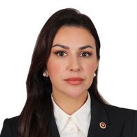 Nilhan Ayan kimdir? Hayatı ve siyasi kariyeri