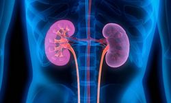 Böbrek sağlığı için beslenme önerileri: