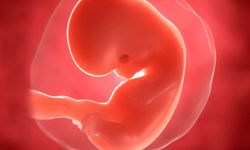 Hamilelikle ilgili en merak edilen sorular: Uzmanlar yanıtladı