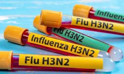Mutasyona Uğramış H3N2 Alarmı: Grip Sezonu Erken Başladı
