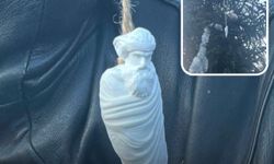 YTÜ’de Şeyh Said figürü tartışma yarattı: Provokasyon iddiası