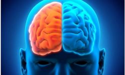 İki dil konuşanların beyinleri daha genç kalıyor