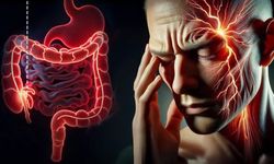 Bağırsaklarımız Ruh Halimizi Etkiliyor mu? Reelin Tartışması