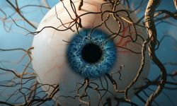 Kornea körlüğünde yeni dönem: Kandan yapay doku üretildi