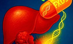 Karaciğer kanserinde yeni hedef: Dysadherin umut veriyor