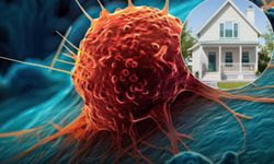 Günlük ev eşyaları ve olası kanser riski uyarısı