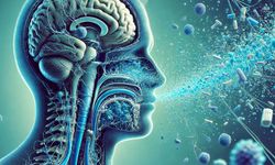 Mikroplastikler kalp ve damar sağlığını etkiliyor olabilir