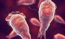 “Beyin yiyen amip” uyarısı: Uzmanlar sıcak sularda görünmez riske dikkat çekiyor