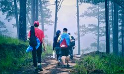 Ormanda Üç Gün, Bağışıklıkta Aylar Süren Güçlenme