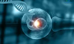 Tüp bebekte yaşa göre başarı oranları: Kimler için şans daha yüksek, neler etkiliyor?