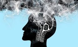 Odaklanamıyor, kelime bulamıyor musunuz? Uzmanlar beyin sisi tehlikesine dikkat çekti