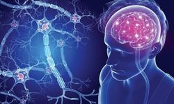 Günlük kimyasallar ve MS bağlantısı: PFAS ve PCB maruziyeti için dikkat çeken uyarı