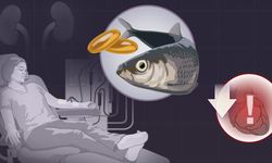 Kandaki Sessiz Tehlikeye Karşı Balık Yağı: Diyaliz Hastaları İçin Yeni Veri