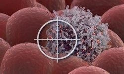 Mantle Hücreli Lenfomada Dört İlacın Birlikteliği Bilim Dünyasını Heyecanlandırdı