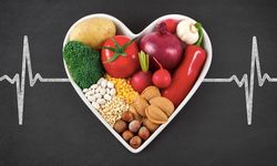 Ceviz, yeşillik ve balık: Kan dolaşımını destekleyen besinler bilimsel mercek altında