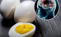 Haftada Bir Yumurta Alzheimer Riskini Azaltıyor mu? Yaşlıları İzleyen Çalışmadan Çarpıcı Bulgular