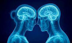 Erkek Beyni Daha Hızlı mı Yaşlanıyor? Büyük MRI Çalışmasından Dikkat Çeken Bulgular