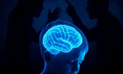 Evde Sürekli Bağırma Çocuk Beynini Nasıl Etkiliyor? Beyin Tehdit Altında Olabilir