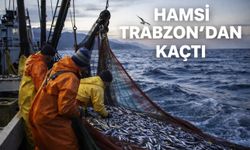 Hamsi Trabzon’dan kaçtı
